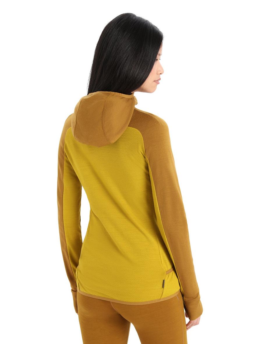 Women's Icebreaker ZoneKnit™ Merino Long Sleeve Zip Hoodie Clove / Silent Gold | CA 1274HAPK